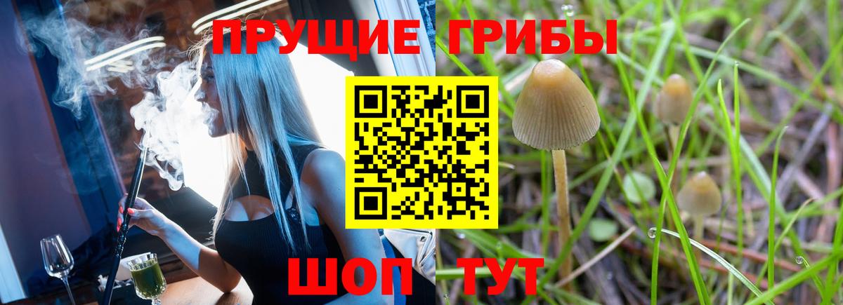Егорьевск  Галлюциногенные грибы мухоморы  Галлюциногенные грибы Magic Shrooms  Вход с VPN 